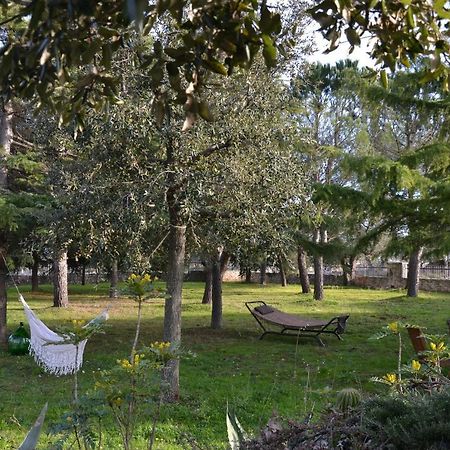 Lavanda Apartment - Villaggio di Mary Locorotondo Esterno foto