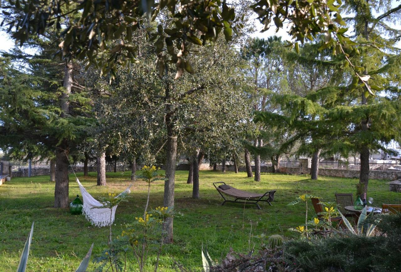 Lavanda Apartment - Villaggio di Mary Locorotondo Esterno foto